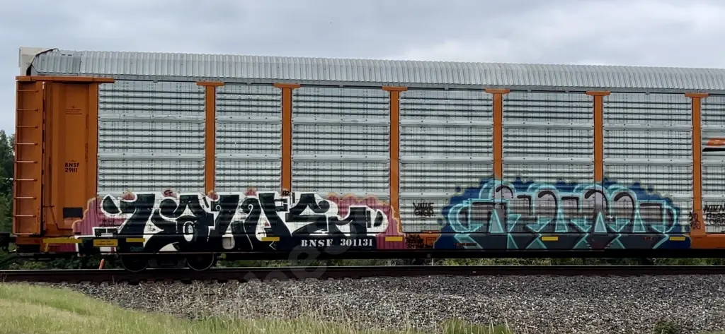 BNSF301131 - NORTH-AMERICA