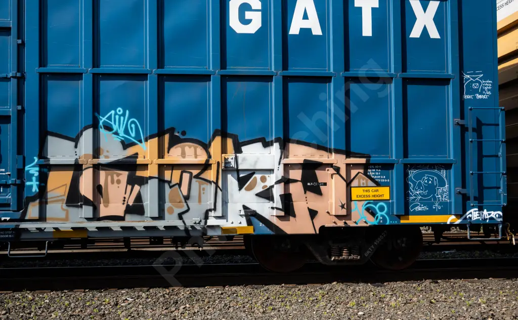 BKTY158527 - NORTH-AMERICA