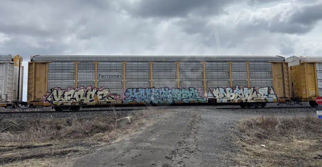 TTGX703760 - NORTH-AMERICA