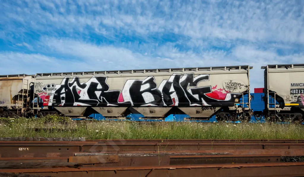 MWCX482124 - NORTH-AMERICA