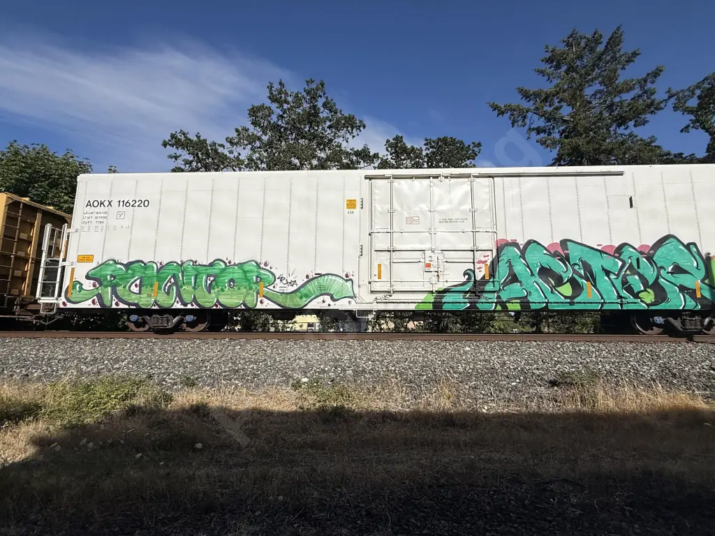 Train photo