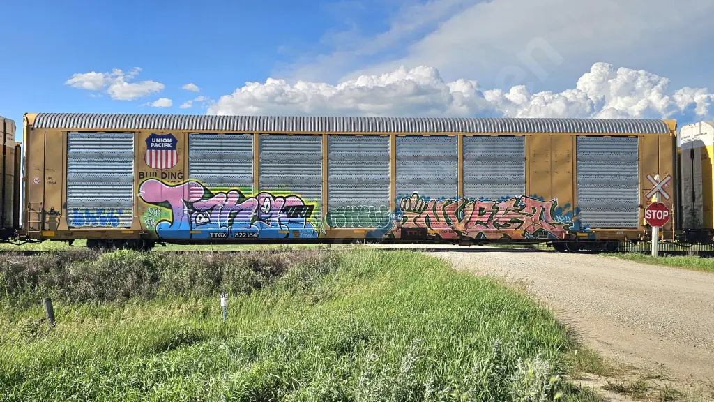 TTGX822164 - NORTH-AMERICA