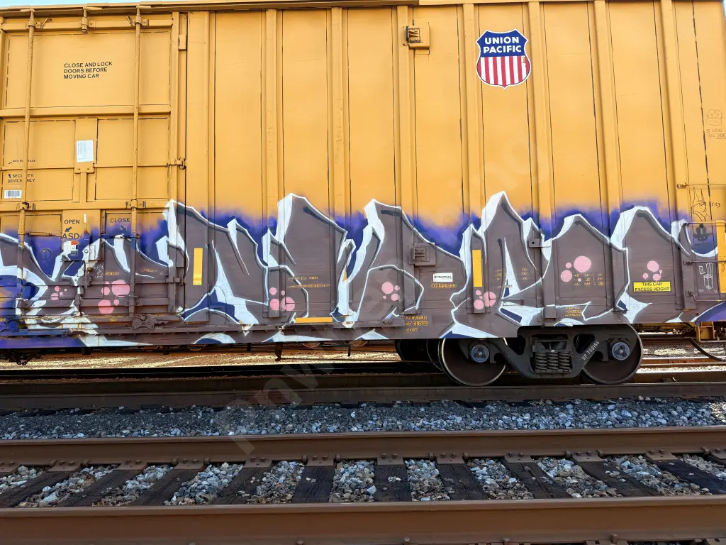 UP700166 - NORTH-AMERICA