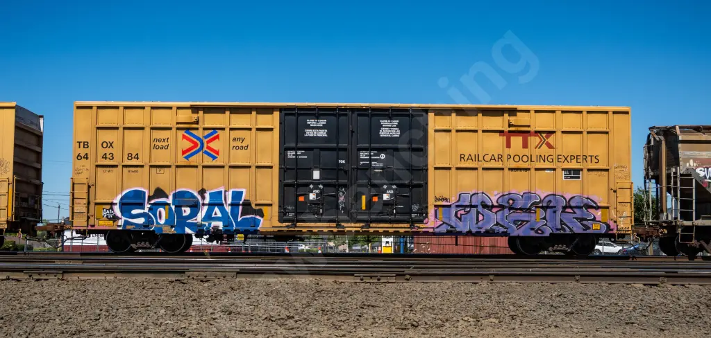 TBOX644384 - NORTH-AMERICA