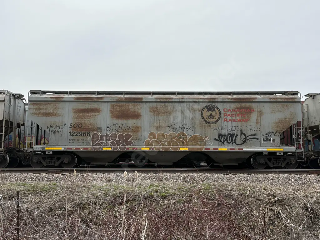 SOO122966 - NORTH-AMERICA