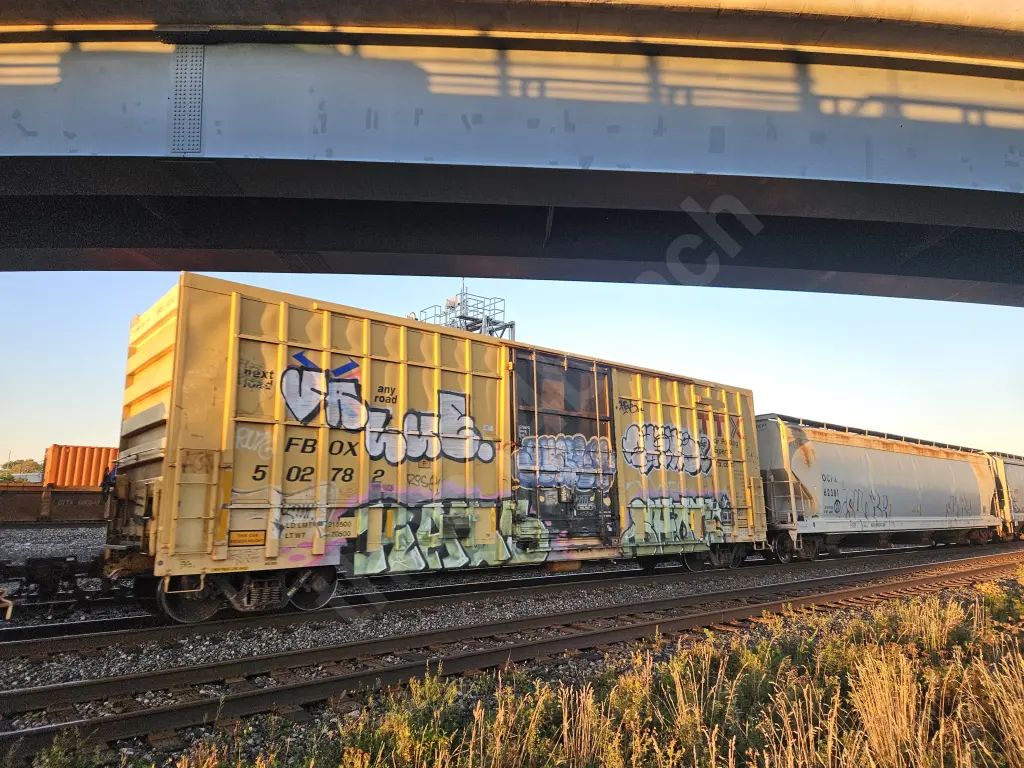FBOX502782 - NORTH-AMERICA
