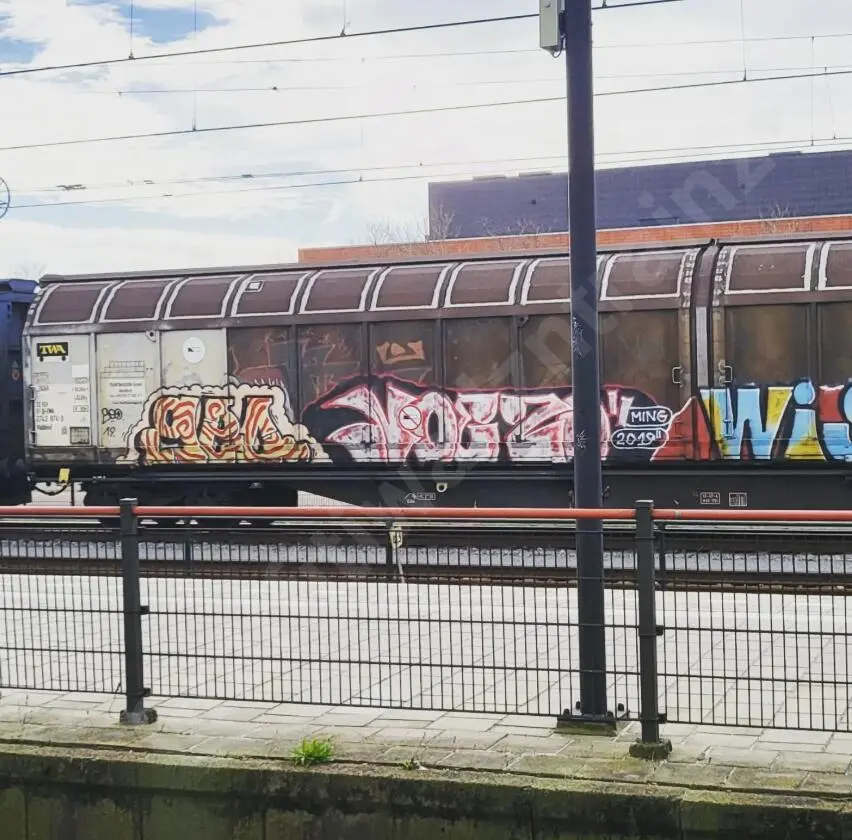 GEONOEZO2019 - EUROPE