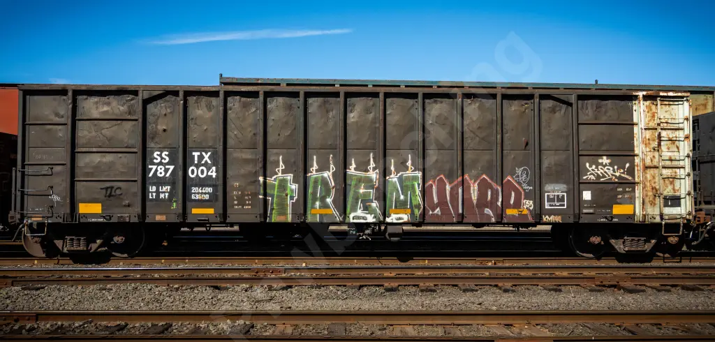 SSTX787004 - NORTH-AMERICA