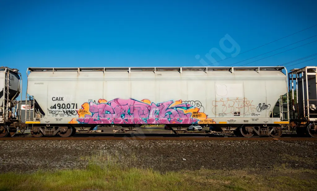 CAIX490071 - NORTH-AMERICA