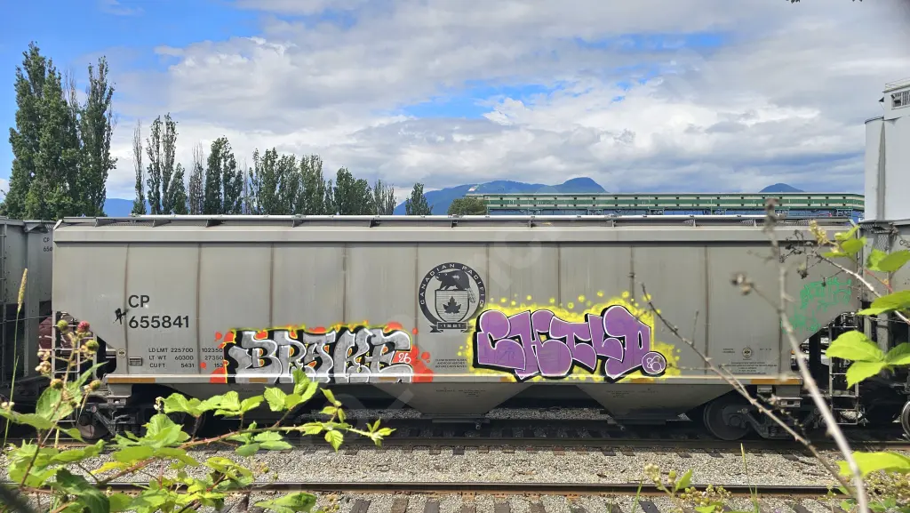 CP655841 - NORTH-AMERICA