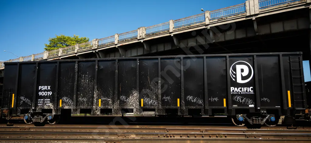PSRX90019 - NORTH-AMERICA