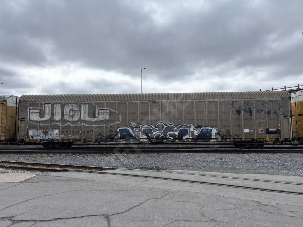 CP546089 - NORTH-AMERICA