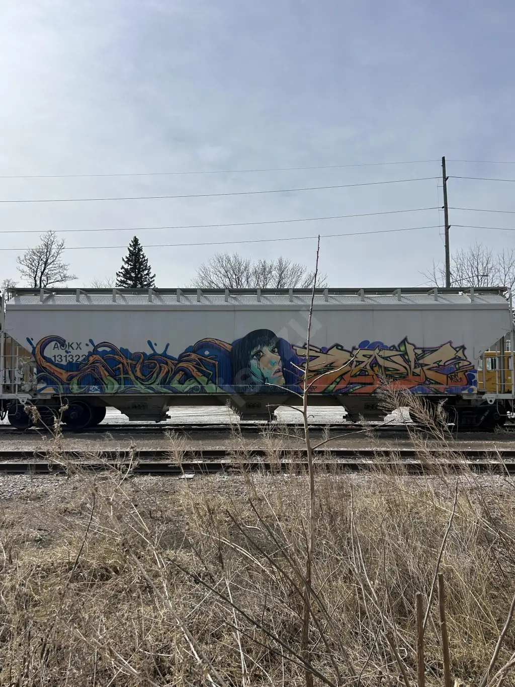 AOKX131323 - NORTH-AMERICA
