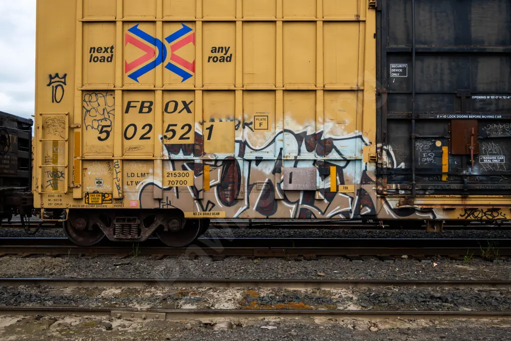 FBOX502521 - NORTH-AMERICA