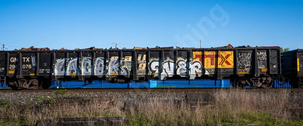 GNTX296076 - NORTH-AMERICA