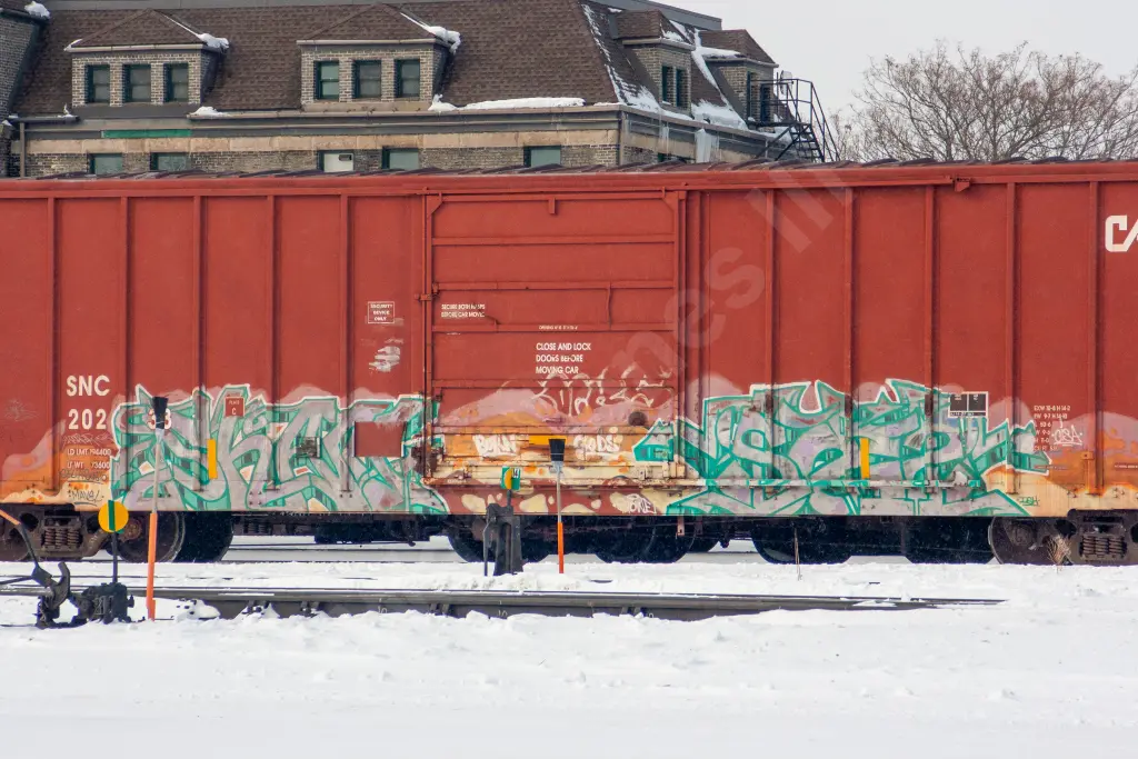 SNC20233 - NORTH-AMERICA