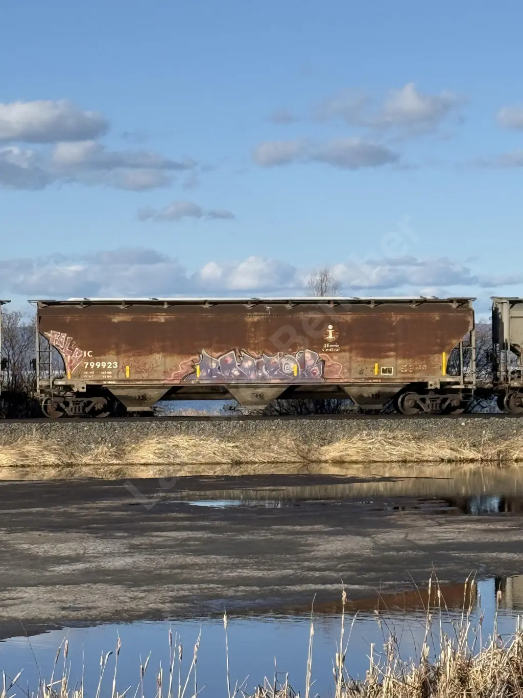 IC799923 - NORTH-AMERICA