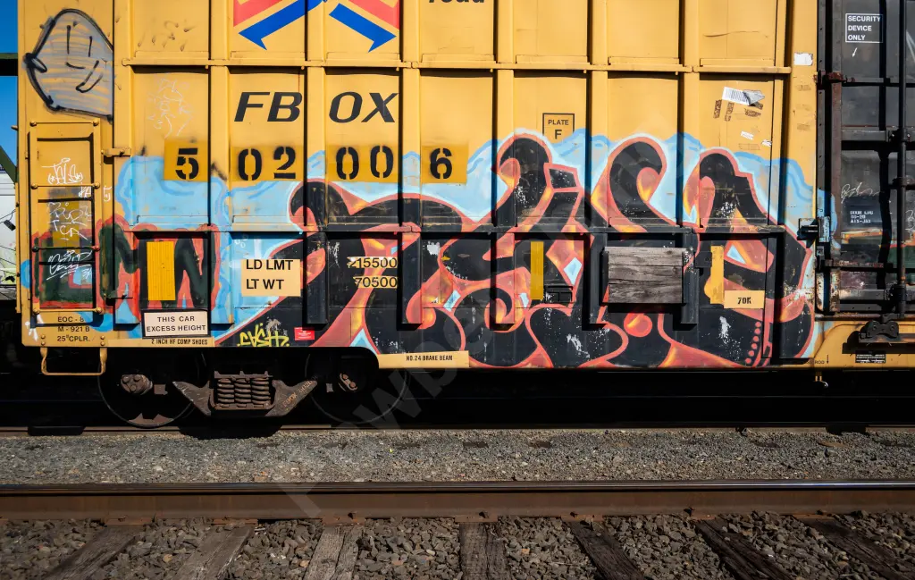 FBOX502006 - NORTH-AMERICA