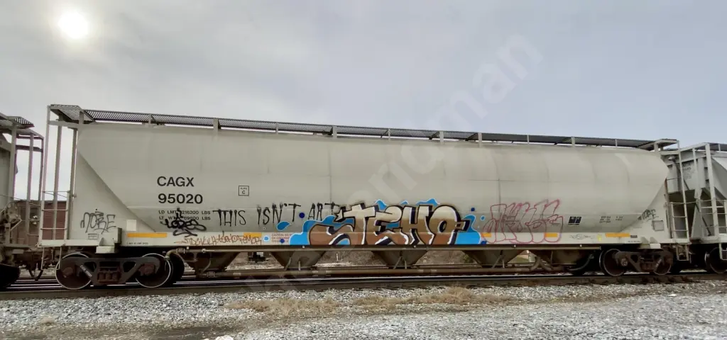 CAGX95020 - NORTH-AMERICA