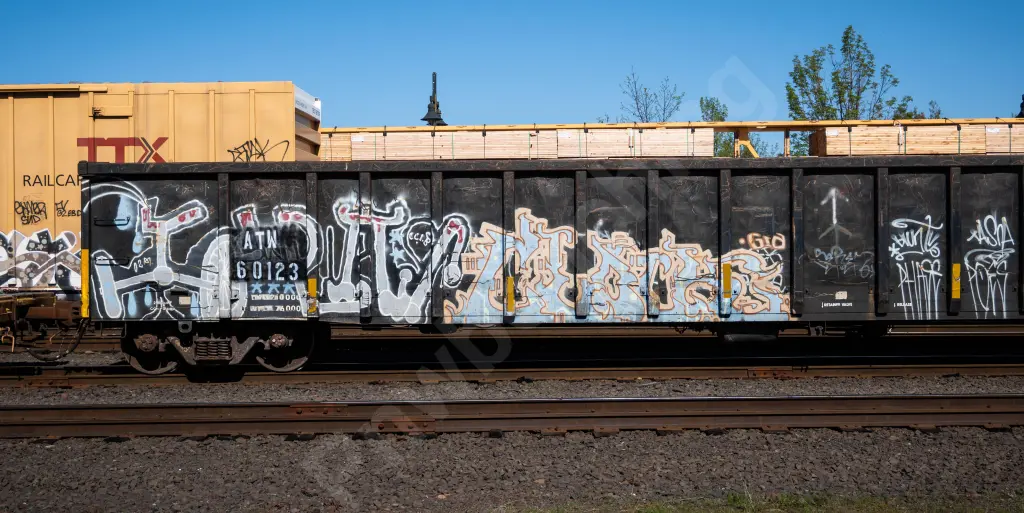 ATW60123 - NORTH-AMERICA