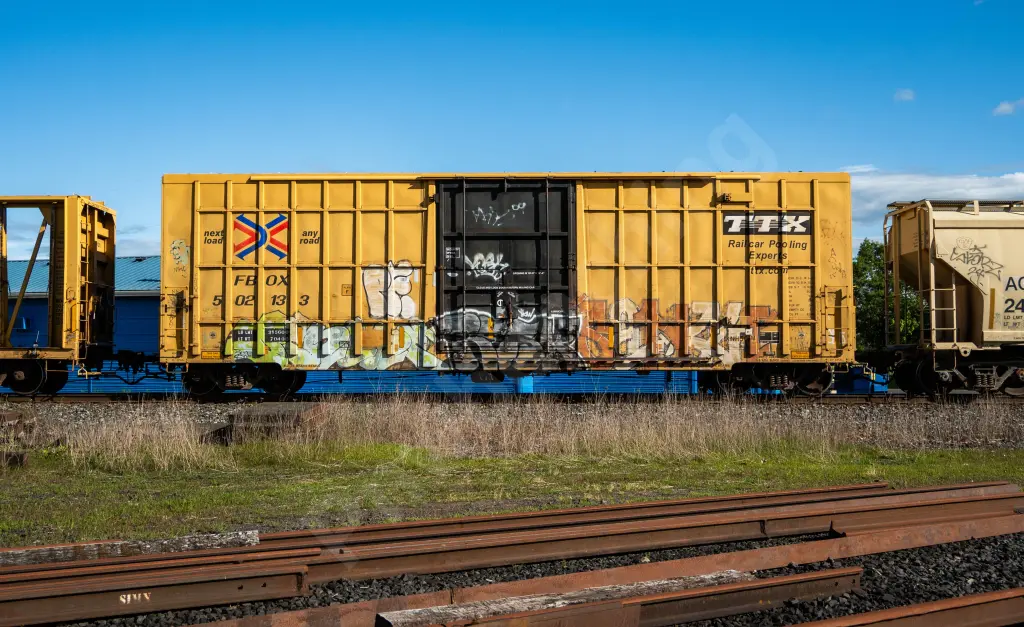 FBOX502133 - NORTH-AMERICA