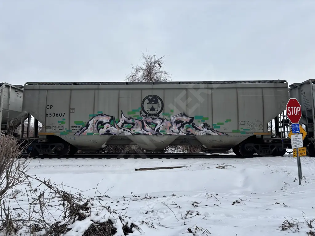 CP650607 - NORTH-AMERICA