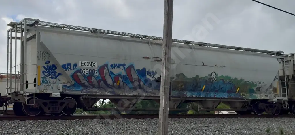 ECNX65007 - NORTH-AMERICA