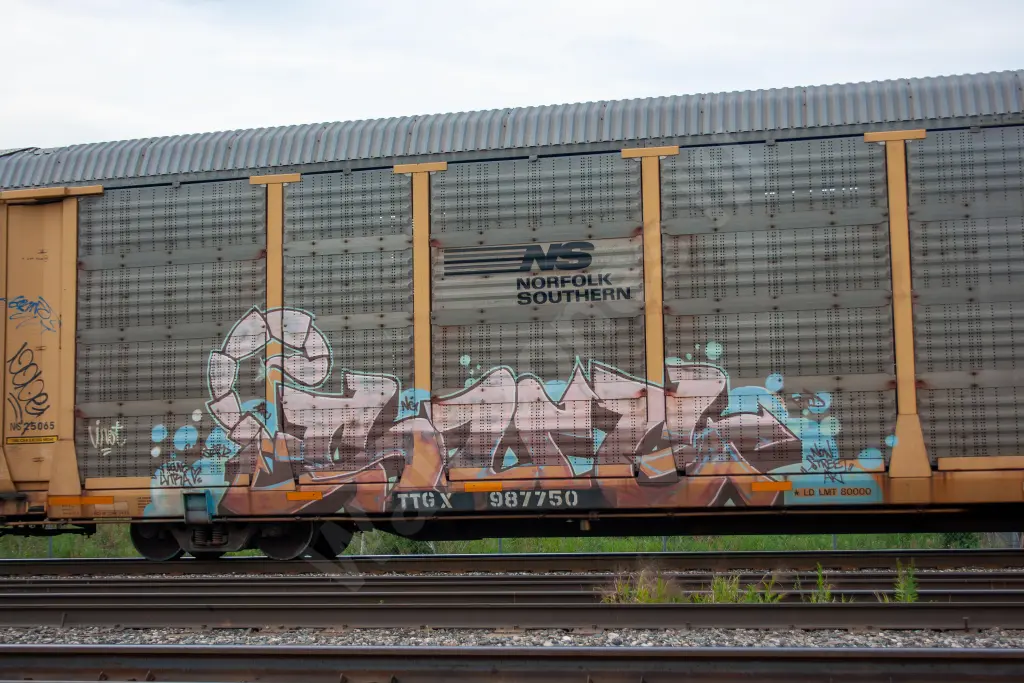 TTGX987750 - NORTH-AMERICA