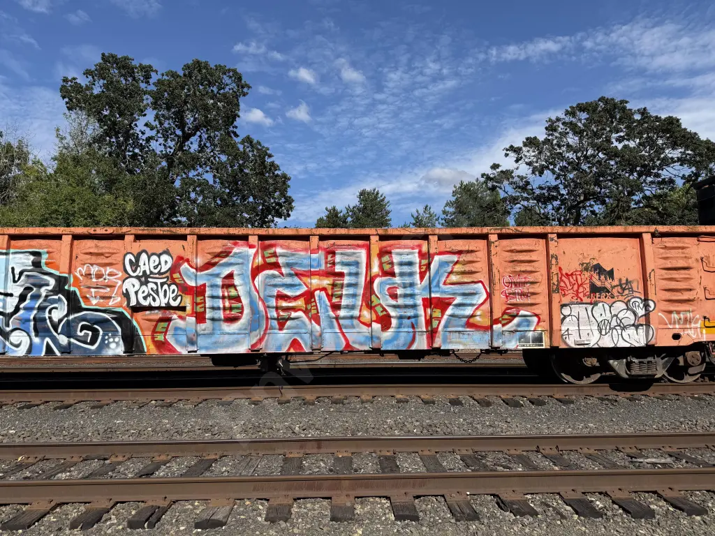 RFRX8005 - NORTH-AMERICA