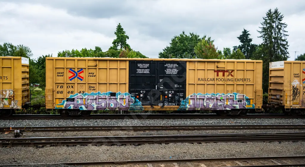 TBOX664643 - NORTH-AMERICA