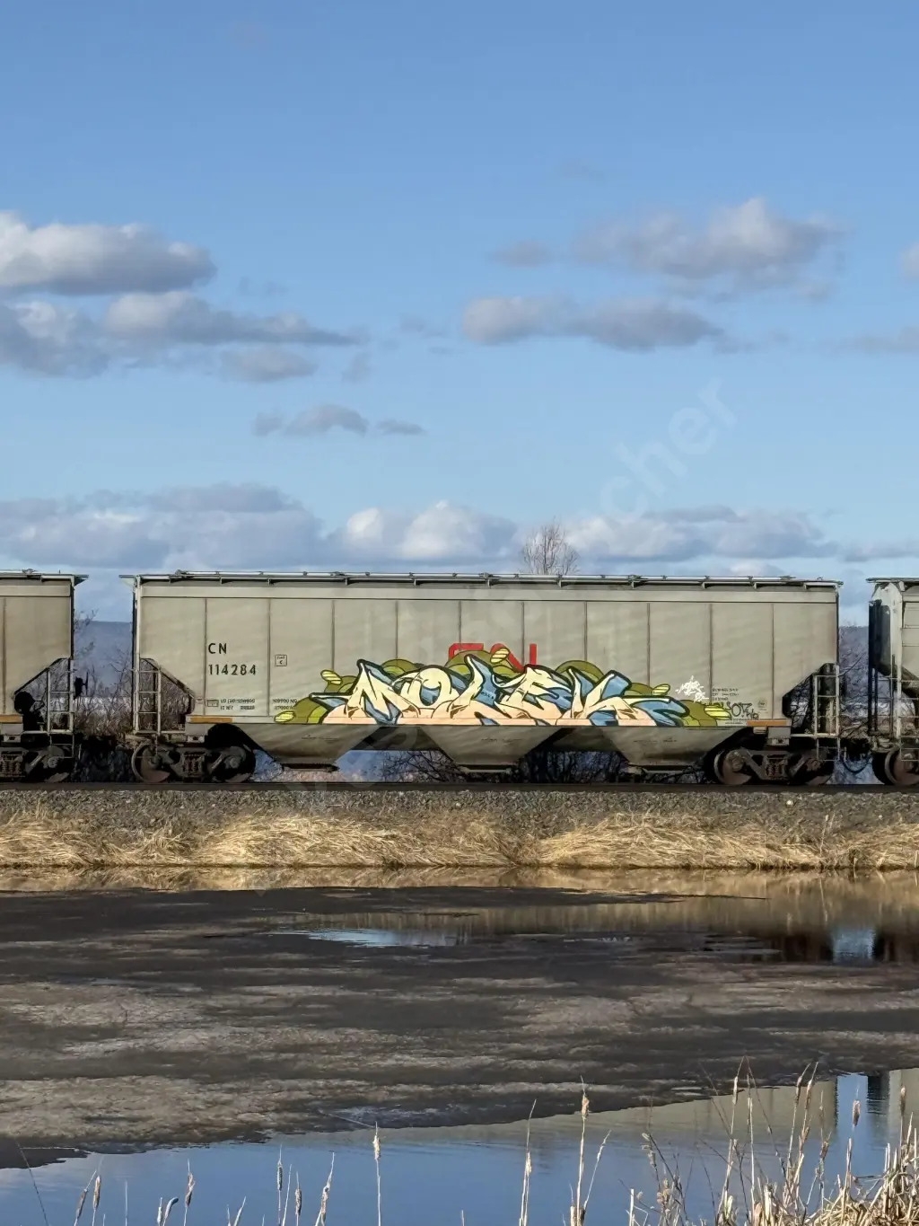 CN114284 - NORTH-AMERICA