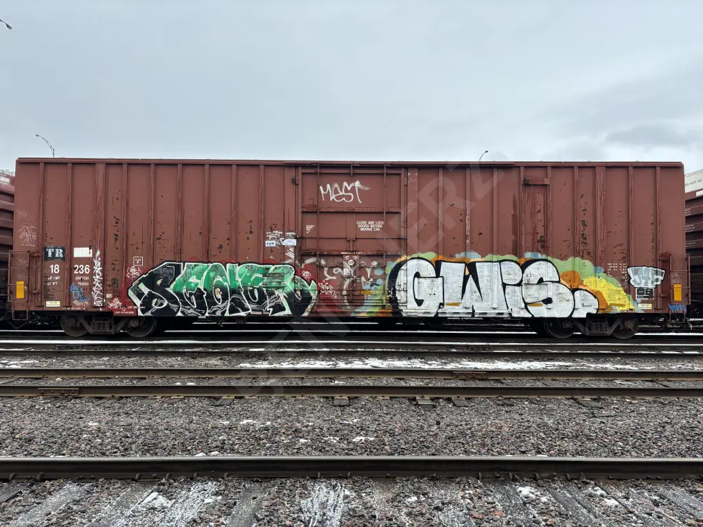 TR18236 - NORTH-AMERICA
