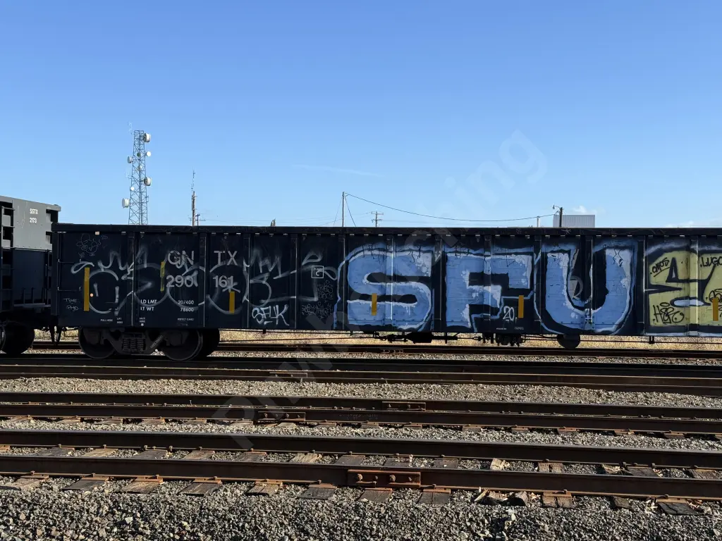 GNTX290161 - NORTH-AMERICA