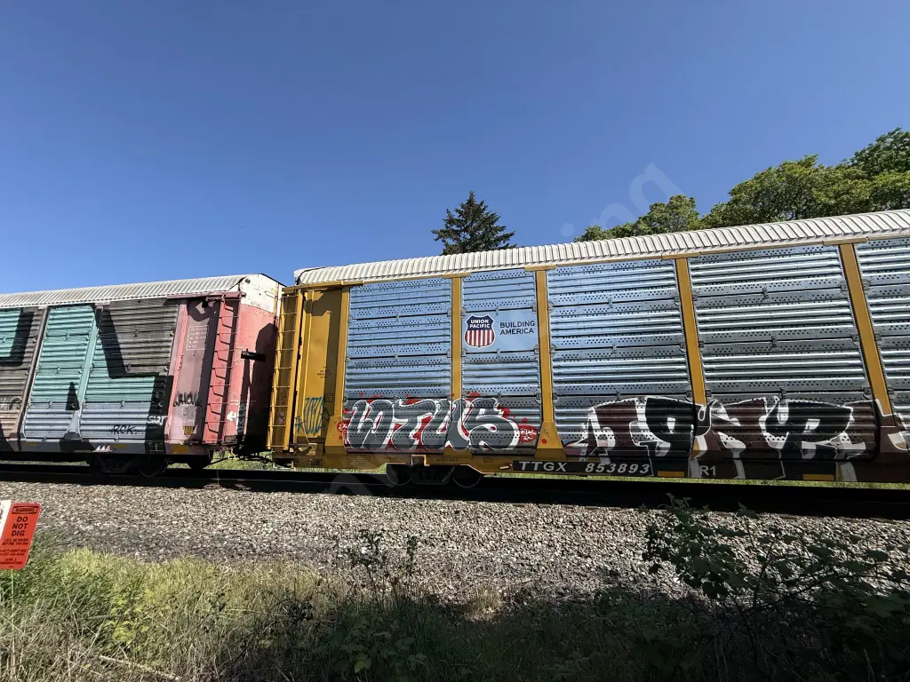 TTGX853893 - NORTH-AMERICA