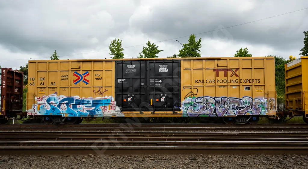 TBOX636182 - NORTH-AMERICA