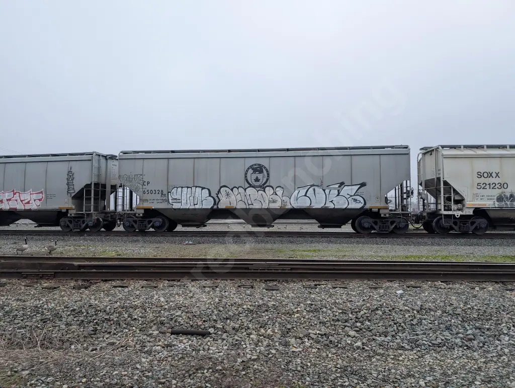 CP650328 - NORTH-AMERICA