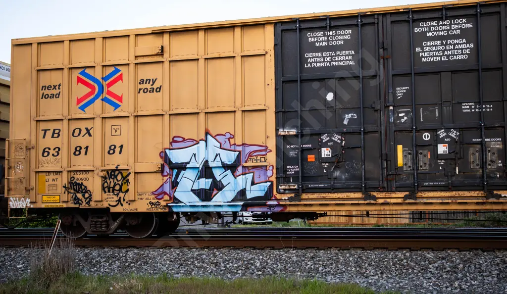 TBOX638181 - NORTH-AMERICA