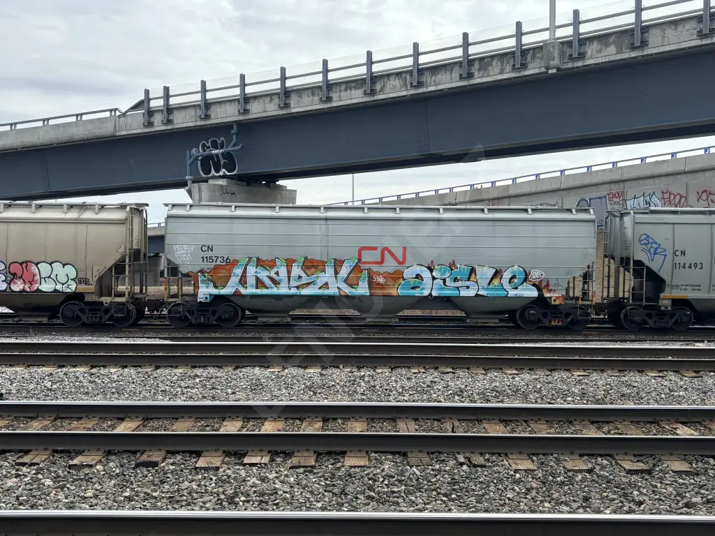 CN115736 - NORTH-AMERICA