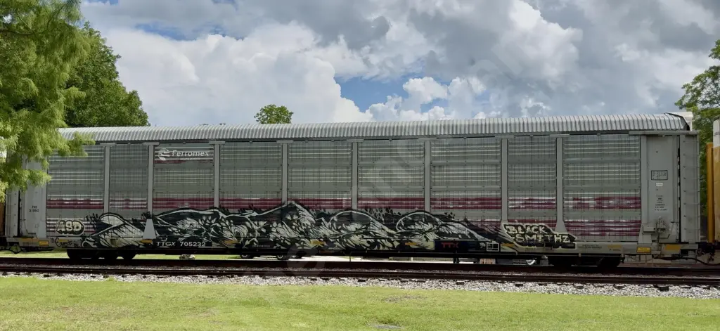 Train photo
