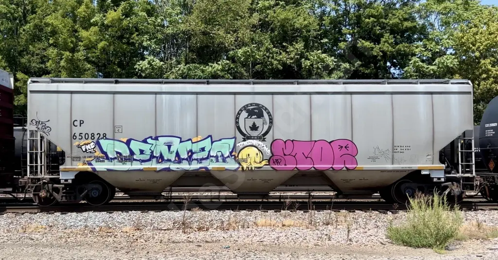 CP650828 - NORTH-AMERICA