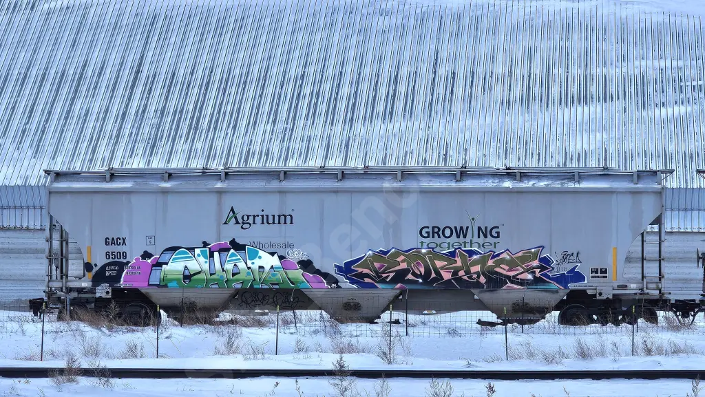 GACX6509 - NORTH-AMERICA