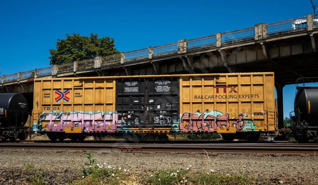 TBOX663959 - NORTH-AMERICA