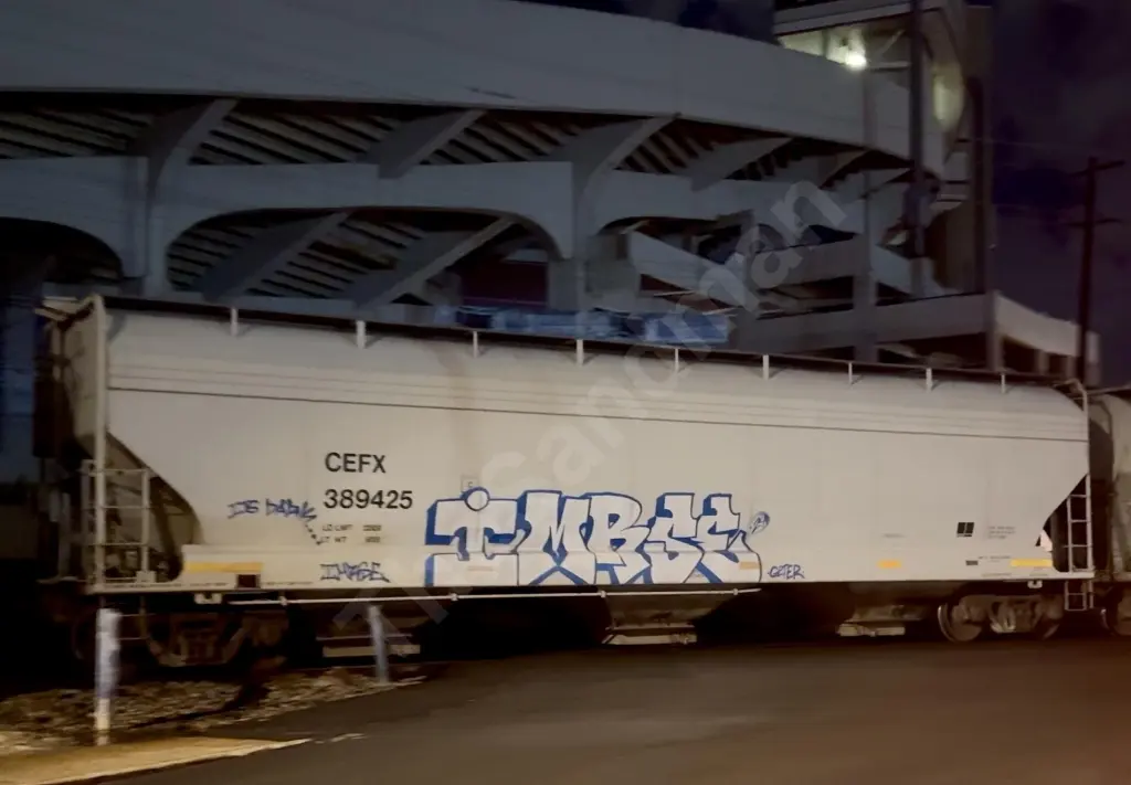 CEFX389425 - NORTH-AMERICA