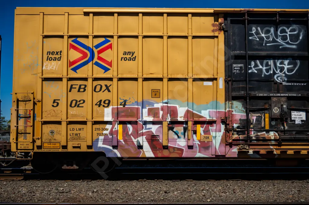 FBOX502494 - NORTH-AMERICA