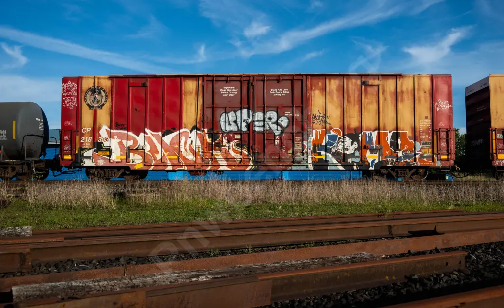 CP218303 - NORTH-AMERICA