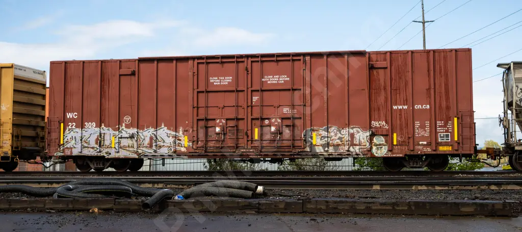 WC22309 - NORTH-AMERICA