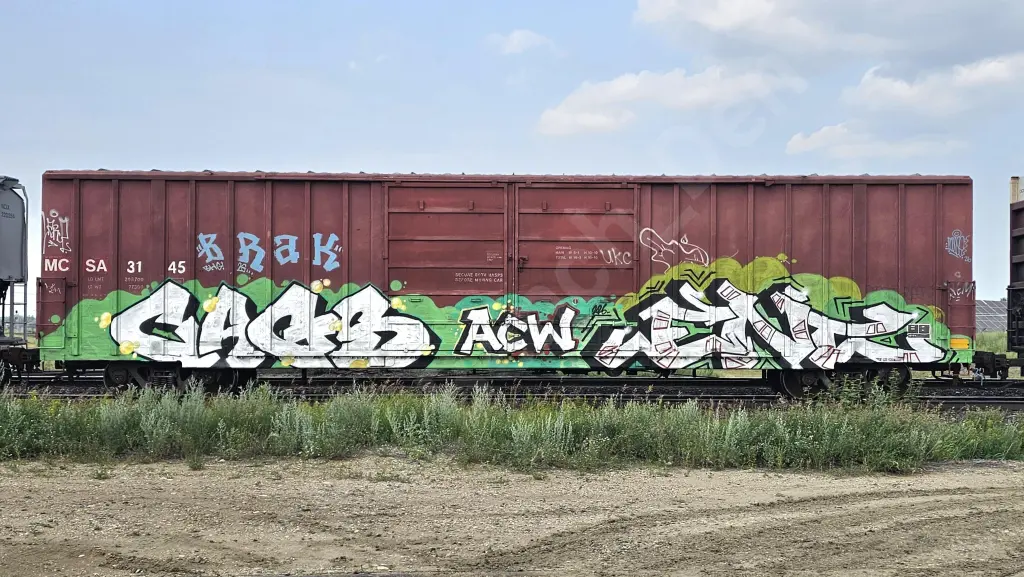 MCSA3145 - NORTH-AMERICA