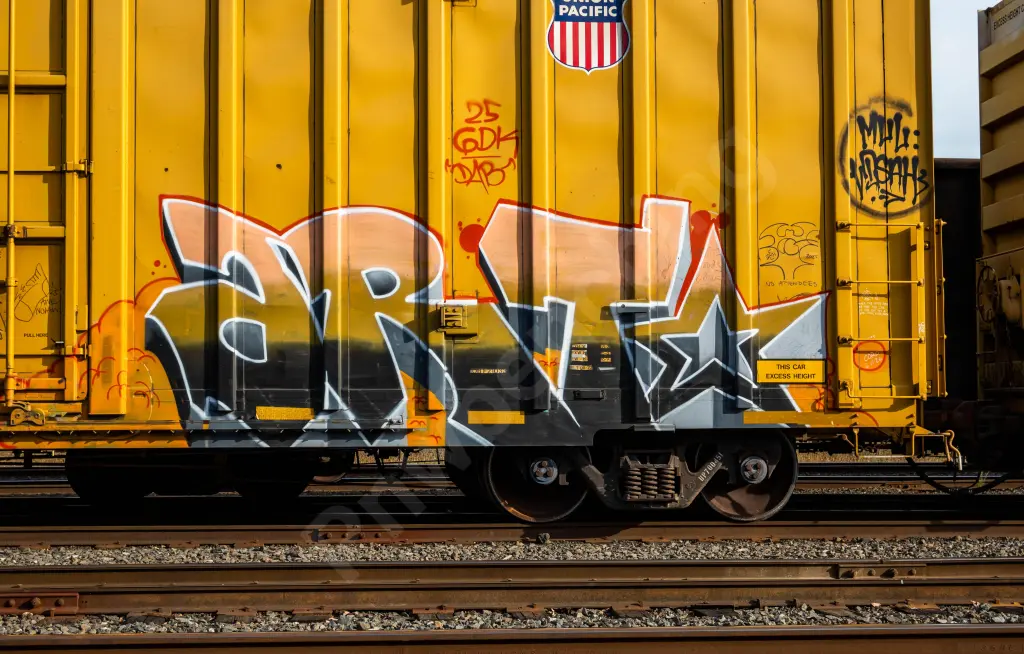UP700451 - NORTH-AMERICA