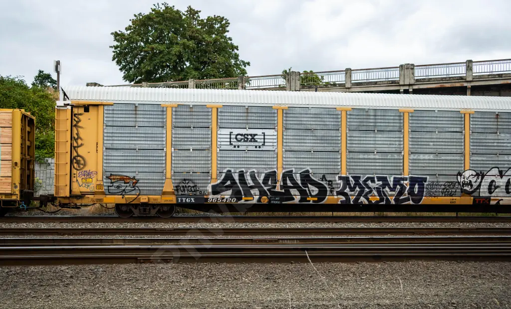TTGX965420 - NORTH-AMERICA