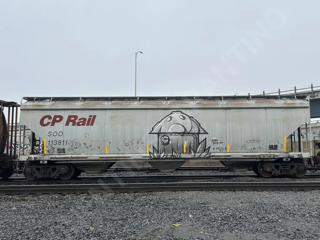 SOO113811 - NORTH-AMERICA
